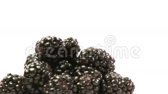 一群黑莓视频的预览图