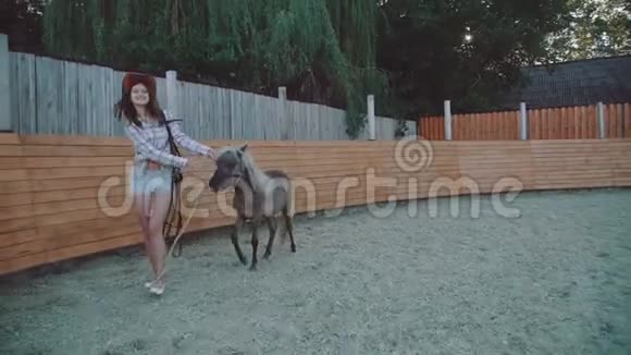 漂亮的女孩带着一匹漂亮的小马走在竞技场上4K视频的预览图