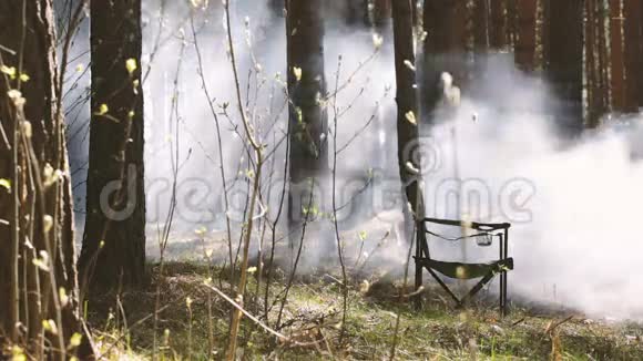 椅子站在树林里倒着烟视频的预览图