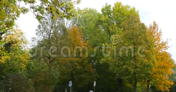 德国公园莫尼阿尔飞机博物馆秋季公园落叶视频的预览图