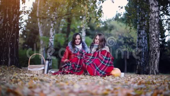 秋天公园里坐在野餐上的年轻美女们裹在毯子里喝着热茶坐在附近的女孩视频的预览图