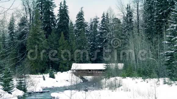 冬季森林中的覆河桥视频的预览图