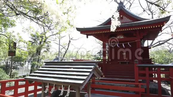 苯本神社春日视频的预览图