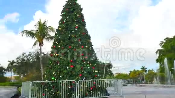 迈阿密市中心的圣诞树视频的预览图