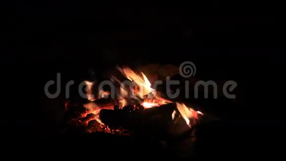 夜间露营户外篝火视频的预览图