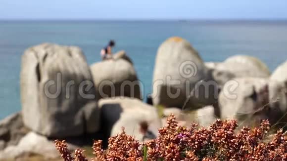 一个男孩坐在海面上的一块大石头上一些步行者沿着海岸经过一条小径前景中的花中的石楠视频的预览图