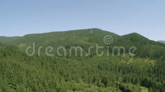 森林和山脉的空中全景空中录像视频的预览图