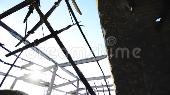 废弃的建筑内部屋顶破损里面有绿色植物多利摄像机视频的预览图