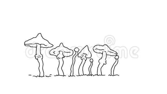 蘑菇或脚凳种植绘图2D动画视频的预览图