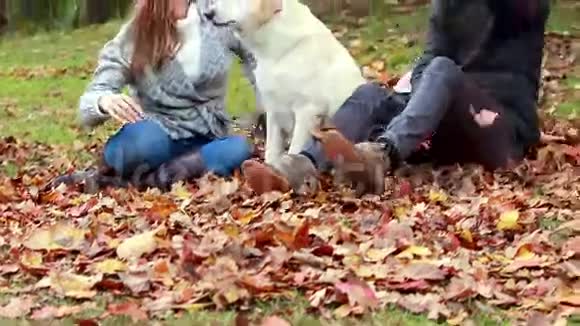在公园秋日和他们的狗的家人视频的预览图