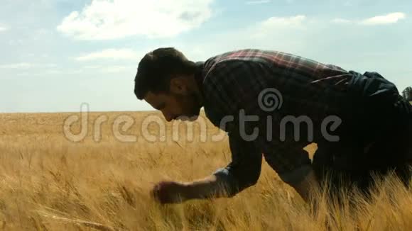 农夫从他的土地上眺望视频的预览图