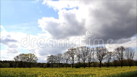 四月的风景云树木和黄田视频的预览图