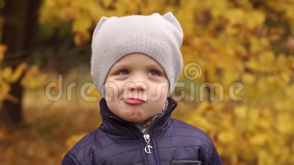 秋天的小男孩滑稽的肖像视频的预览图