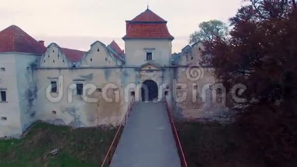 美丽的城堡藤山河视频的预览图