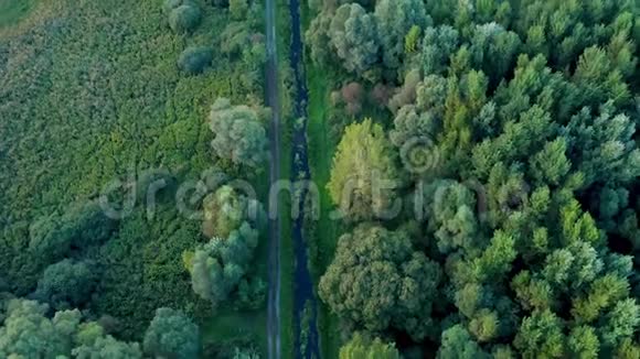 巴莱顿湖附近匈牙利风景的无人机航拍片视频的预览图
