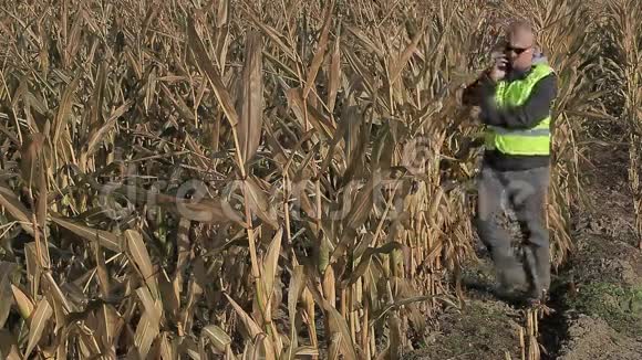 在寒冷的玉米地里忙着用智能手机的农民视频的预览图