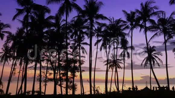 时光流逝印度尼西亚巴厘岛海滩棕榈树的太阳从海面上的黎明景色视频的预览图