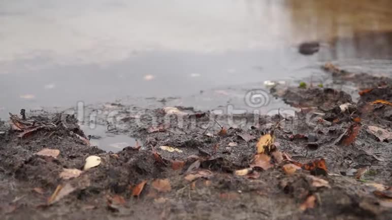 秋天雨天的湖景视频的预览图