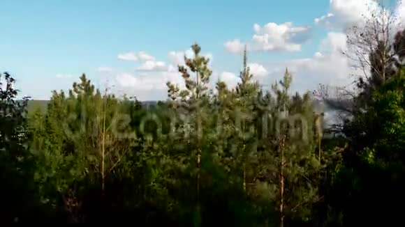 年轻的树木山坡上的种植园在国家公园PodilskiTovtry的德涅斯特峡谷河流巴科塔湾的空中景观视频的预览图