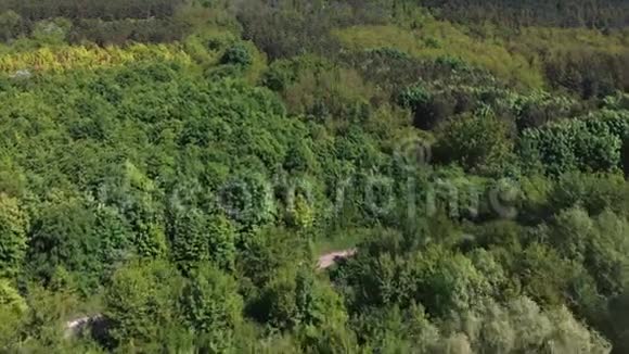 年轻的树木山坡上的种植园在国家公园PodilskiTovtry的德涅斯特峡谷河流巴科塔湾的空中景观视频的预览图