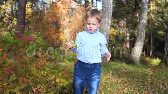 秋天公园的孩子玩得开心笑得开心在新鲜的空气中散步一个美丽的风景胜地视频的预览图