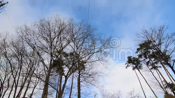 日本广岛公园的树顶视频的预览图