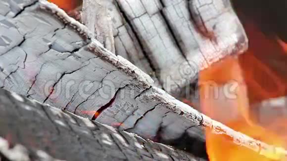 燃烧木头上的火焰视频的预览图
