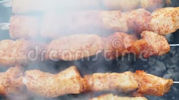 在布拉齐耶的户外烤肉串上烹饪烧烤沙士利克烤肉视频的预览图