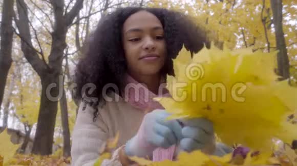 美丽的黑人少年收集黄色的枫叶视频的预览图