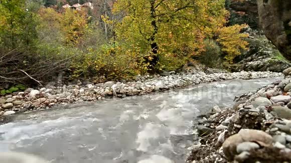 卡迪萨塞萨里希腊森林中的河流视频的预览图