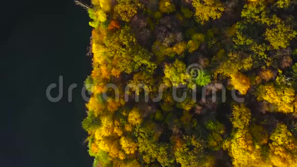 鸟瞰湖和岸上明亮的秋林森林反映在湖面上视频的预览图