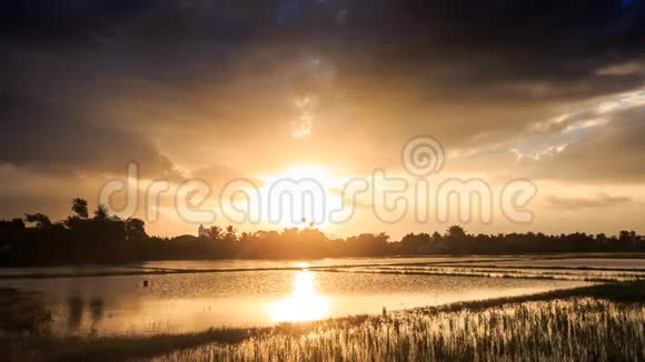 太阳落山时云后的阳光照耀着稻田视频的预览图