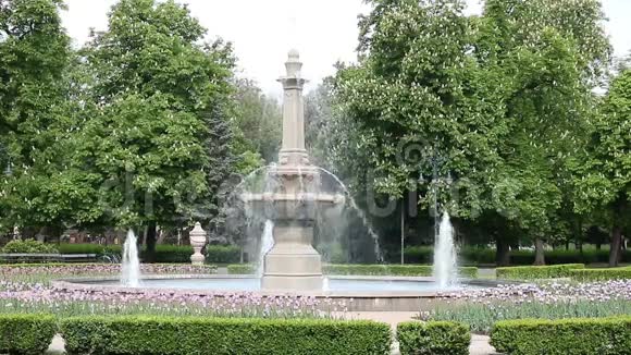喷泉埃格匈牙利视频的预览图