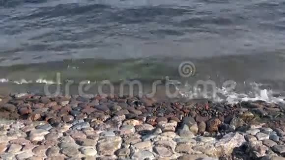 河上的冲浪和水中的阳光视频的预览图