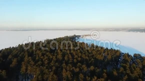 飞过森林在开普上空飞行冰冻的大海视频的预览图