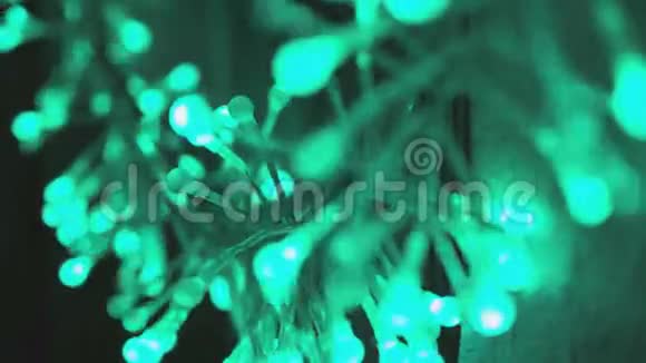 LED花环灯闪烁绿色视频的预览图
