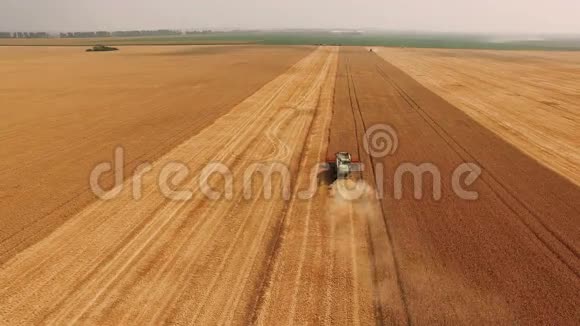 4k小麦收获机鸟瞰图视频的预览图