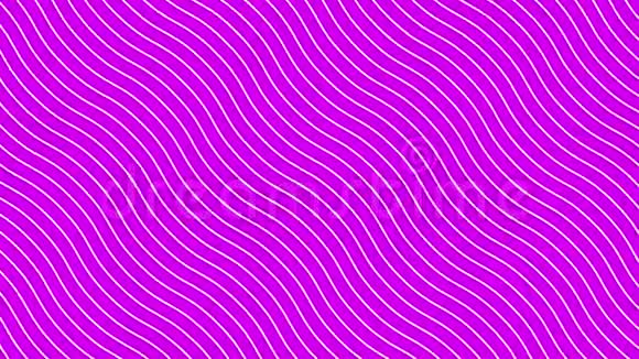 动态波浪运动中的白色曲线粉红色背景未来的几何对角线图案背景视频的预览图