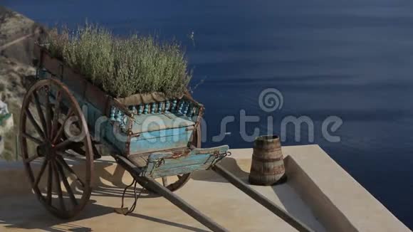 希腊圣托里尼的绿色植物装饰视频的预览图