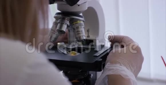 在实验室研究化学元素的严重临床医生显微镜镜头的特写显微镜玻片样品视频的预览图