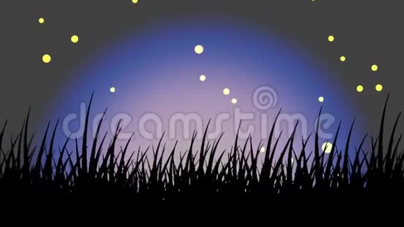 夜晚的萤火虫和萤火虫寂静的黄昏光萤火虫视频的预览图