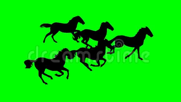 许多跑马的绿色屏幕循环说跑步视频的预览图