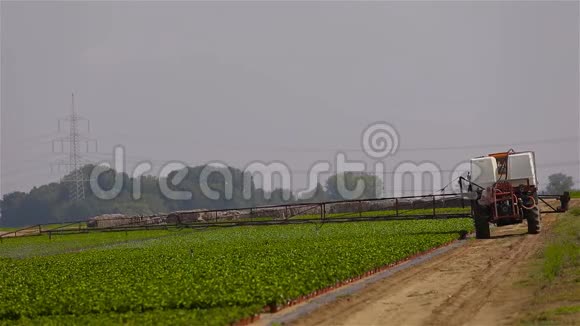 农田灌溉设备喷洒机灌溉农业领域农业灌溉视频的预览图