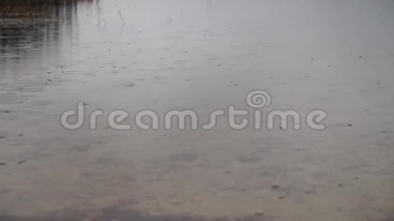 秋天雨天的湖景视频的预览图