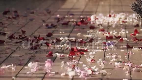 风在街道上卷起美丽的玫瑰花瓣又白又红夏日阳光明媚暖色调视频的预览图