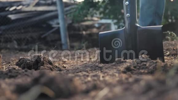 农夫用铲子挖地用花园铁锹特写慢动作视频农民的工作生活方式视频的预览图