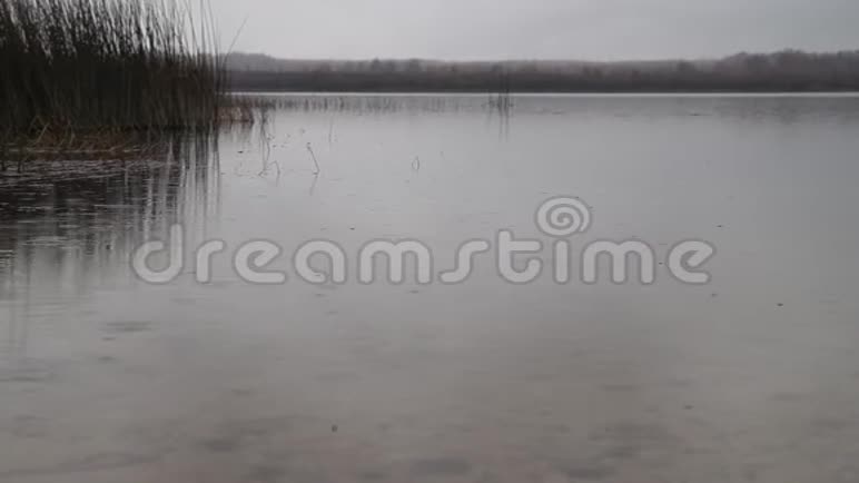 秋天雨天的湖景视频的预览图