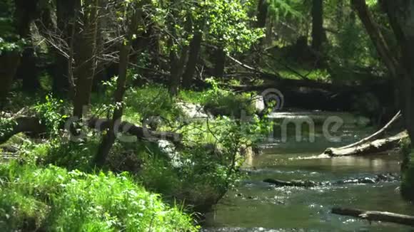 美丽的山溪干净的水慢镜头视频的预览图