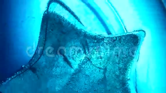 玻璃中的星状冰旋转静止图像视频视频的预览图