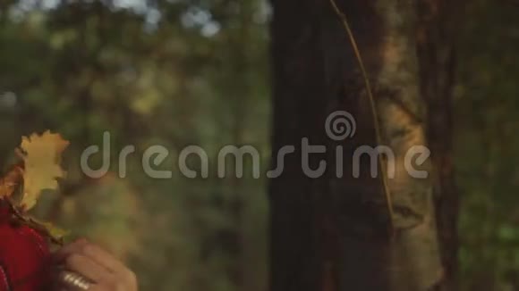 开朗迷人的女人抱着一片叶子在秋天的公园里在阳光下微笑视频的预览图